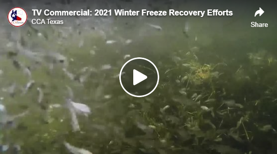 TV Commercial: 2021 Winter Freeze Recovery Efforts
