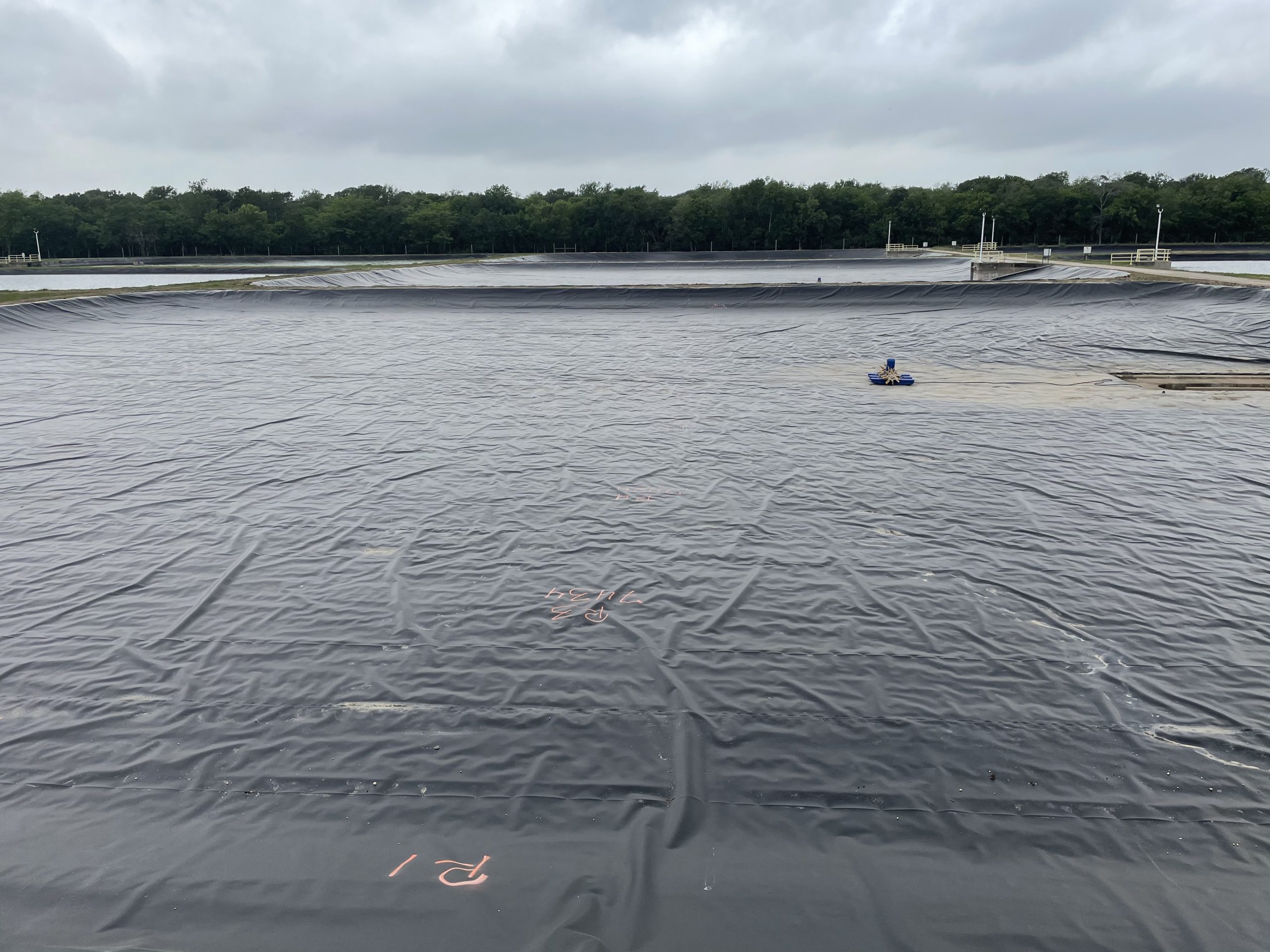 CONSERVATION IN ACTION VIDEO: Pond Liner Repair Project at Sea Center Texas UPDATE