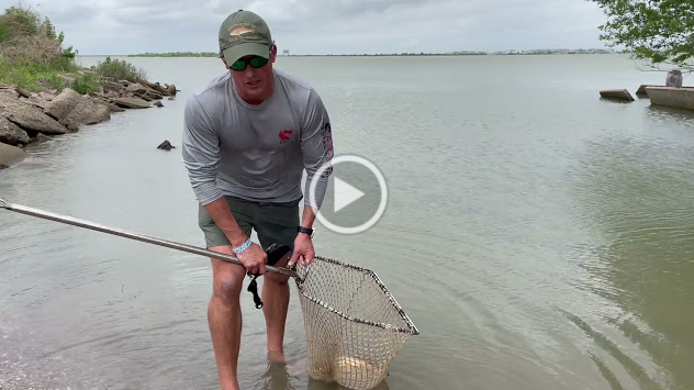 WATCH: CCA Texas STAR Tournament 2021 – How To Remove Tag from Tagged Redfish