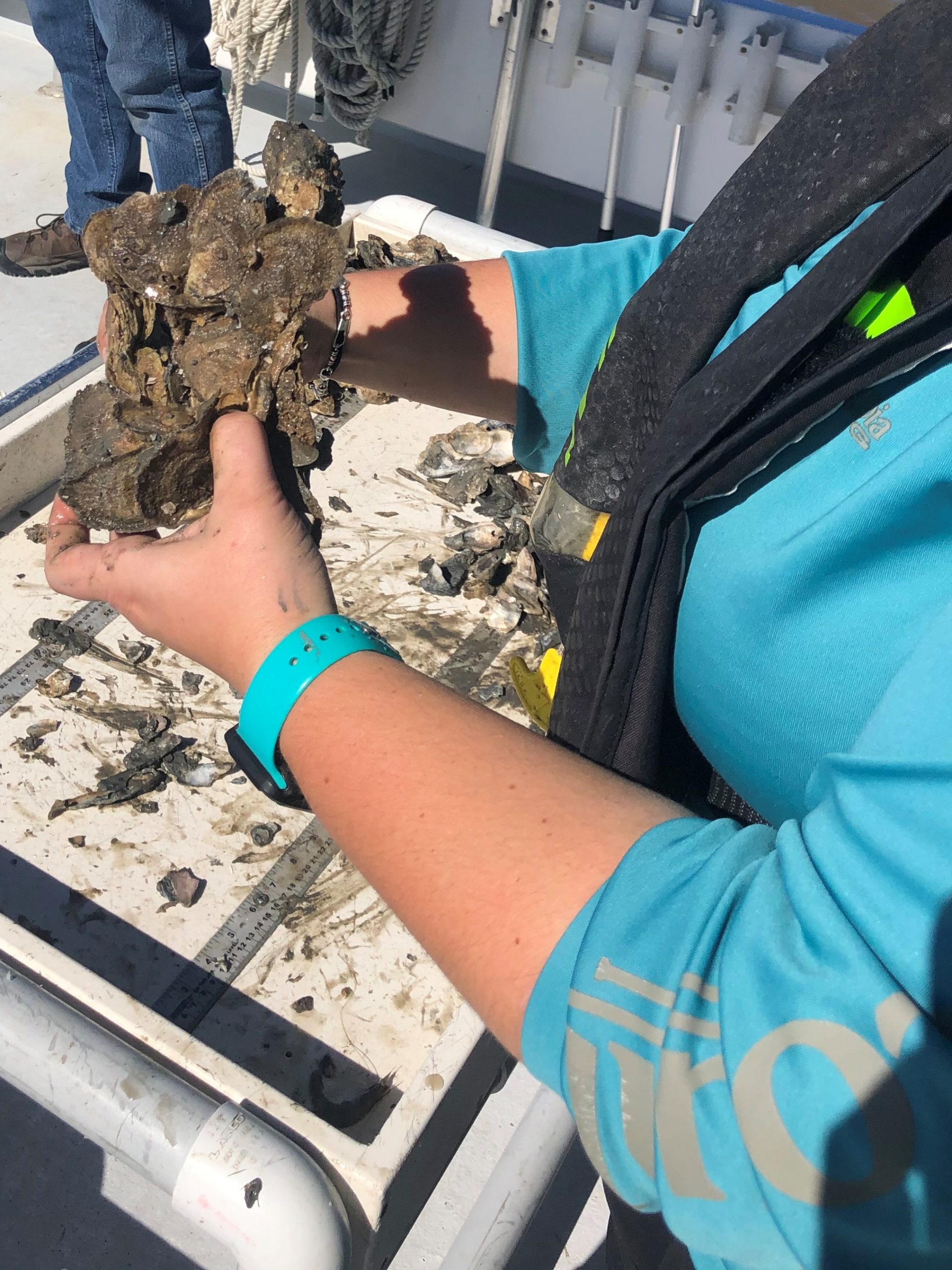 UPDATE: TPWD Closing Oyster Harvest Area in Aransas Bay (TX-29)