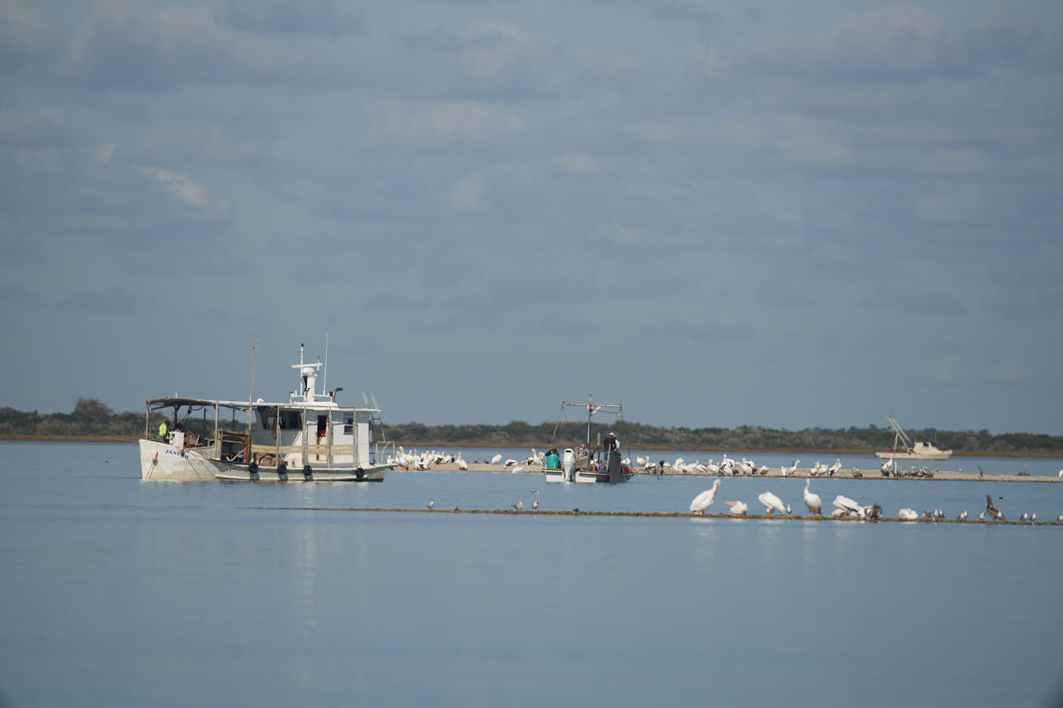 UPDATE: TPWD Sets Public Meetings to Gather Input on Oyster Reef Closures