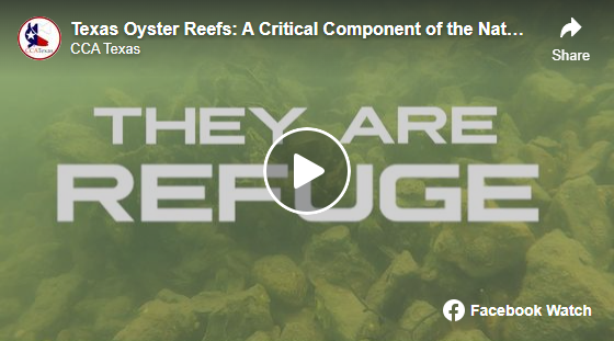 VIDEO – Texas Oyster Reefs: A Critical Component of the Natural Landscape