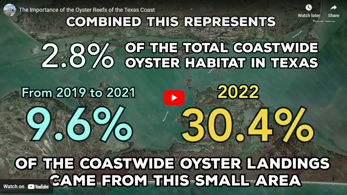 WATCH – FlatsWorthy: The Importance of the Oyster Reefs of the Texas Coast