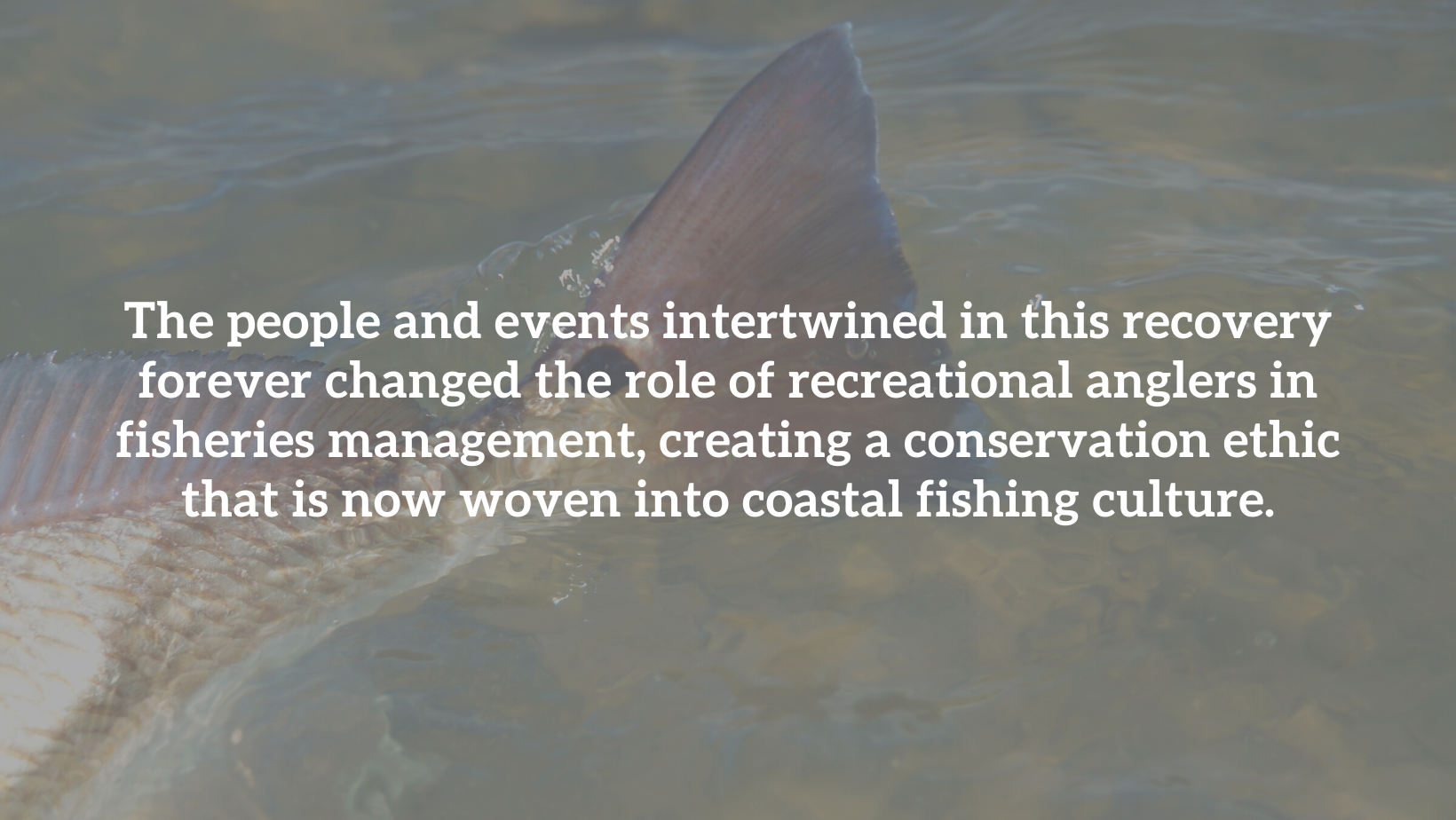 A Story of Coastal Fisheries Management Success