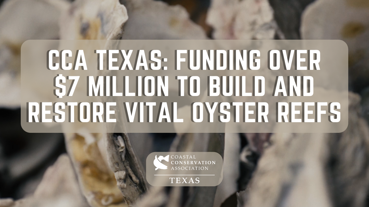 WATCH – CCA Texas: Funding Over $7 Million to Build and Restore Vital Oyster Reefs
