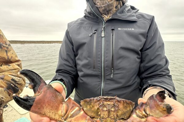 Aransas Bay - Crab trap cleanup 3
