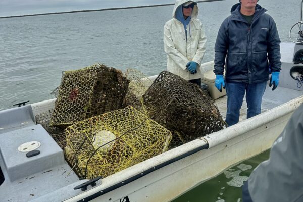 Aransas Bay - Crab trap cleanup 4