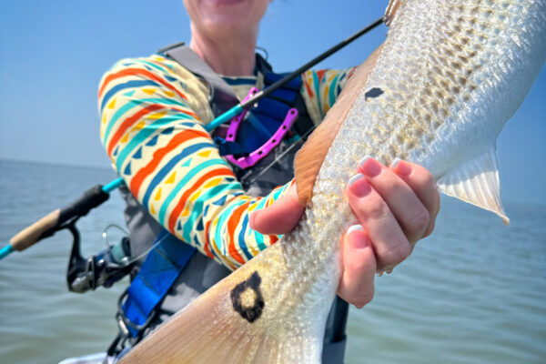 Aransas Bay - Lyne Donovan