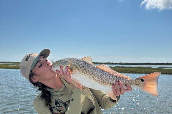 Aransas Bay - Amanda Wood