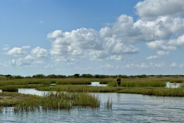 Aransas Bay - Janae Evans