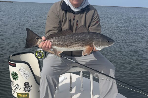 North Texas - Hansen