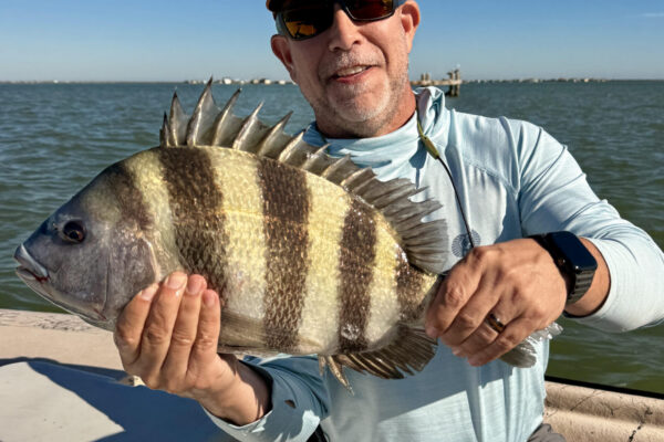 North Texas - Bailey Sheepie