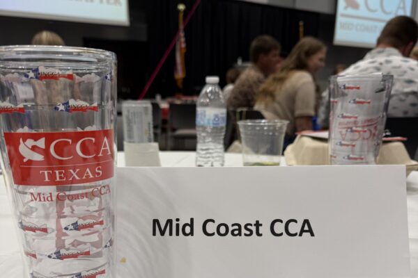 Mid Coast 2