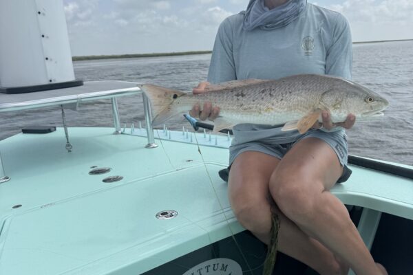 Aransas Bay3